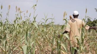 Idrissa Ouedraogo ist ein Bauer in Burkina Faso. Seine Hirse-, Mais- und Bohnenernte ist aufgrund der ausbleibenden Regenfälle verdorrt, seine Tiere haben nichts mehr zu fressen. Vor ein paar Jahren konnte er seine Ernte verkaufen und mit dem Erlös seine Kinder zur Schule schicken und sie medizinisch versorgen. Jetzt reicht das Geld nicht mehr aus.  Idrissa Ouedraogo ist ein Bauer in Burkina Faso. Er steht in einem Getreidefeld, das sehr trocken aussieht. Er hat der Kamera den Rücken zugedreht und trägt eine Hacke über der Schulter.