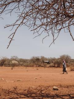 Sankuus* lebt in Wajir, Kenia. Die Dürre hier ist extrem: Um die nächste Wasserquelle zu erreichen, läuft Sankuus über 13 Kilometer. Ein Mann mit einem Wasserkanister in der Hand läuft über trockene, rötliche Erde. Die Sonne scheint. Im Vordergrund und im Hintergrund stehen vertrocknete Bäume.
