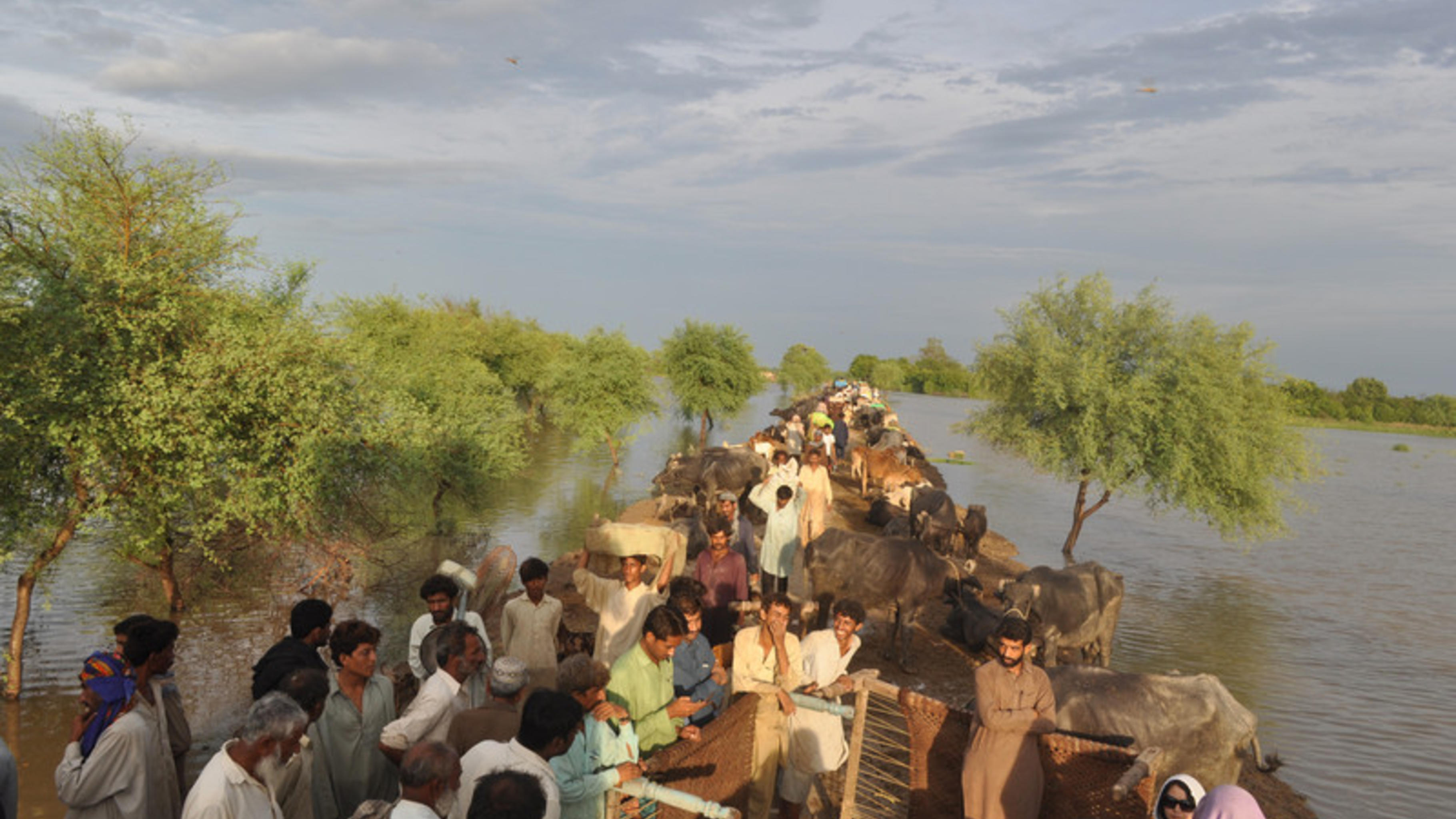 Sanghar in der Provinz Sindh: Die Dorfbewohner/innen versuch