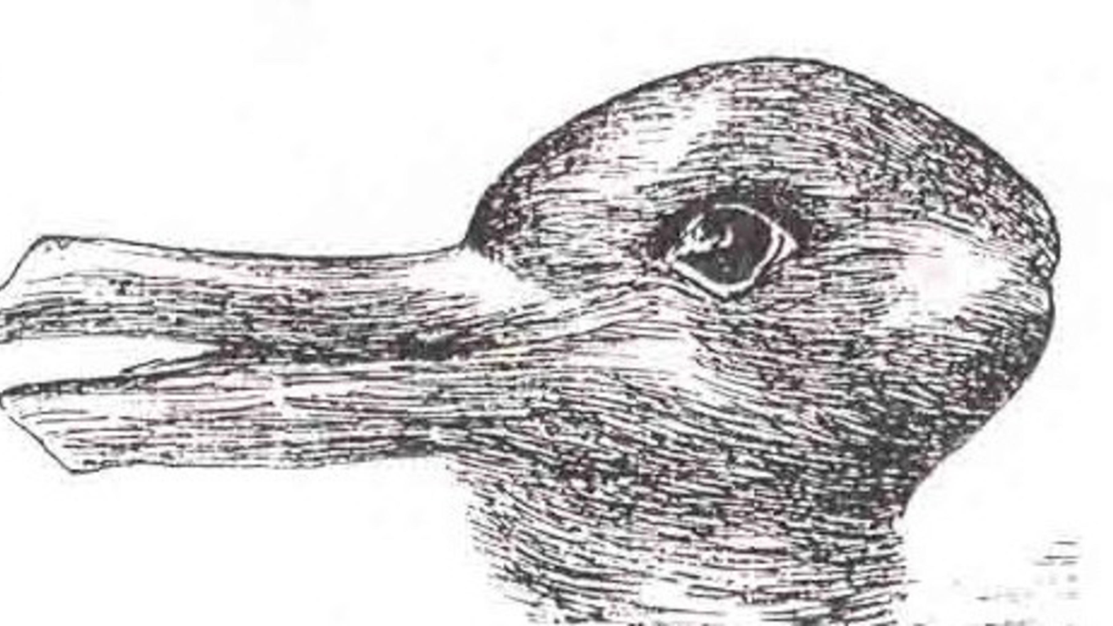 Eine Ente  – oder doch ein Hase? Quelle: Jastrow, J., The mind's eye (1899).