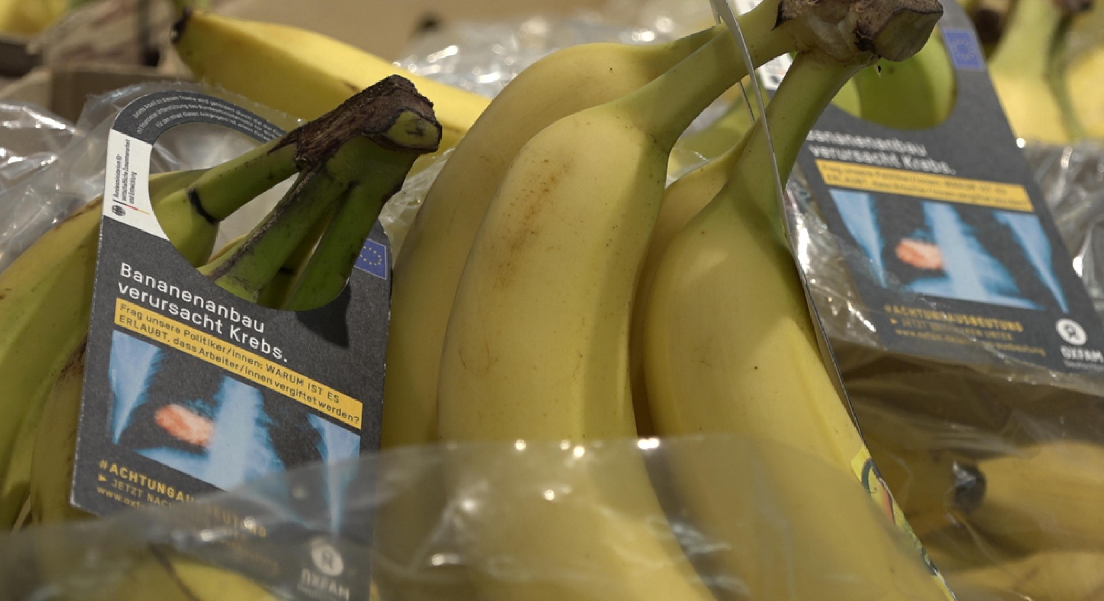 Bananen mit Schockbild-Anhängern im Stil der Warnhinweise auf Zigarettenpackungen: „Bananenanbau verursacht Krebs.“