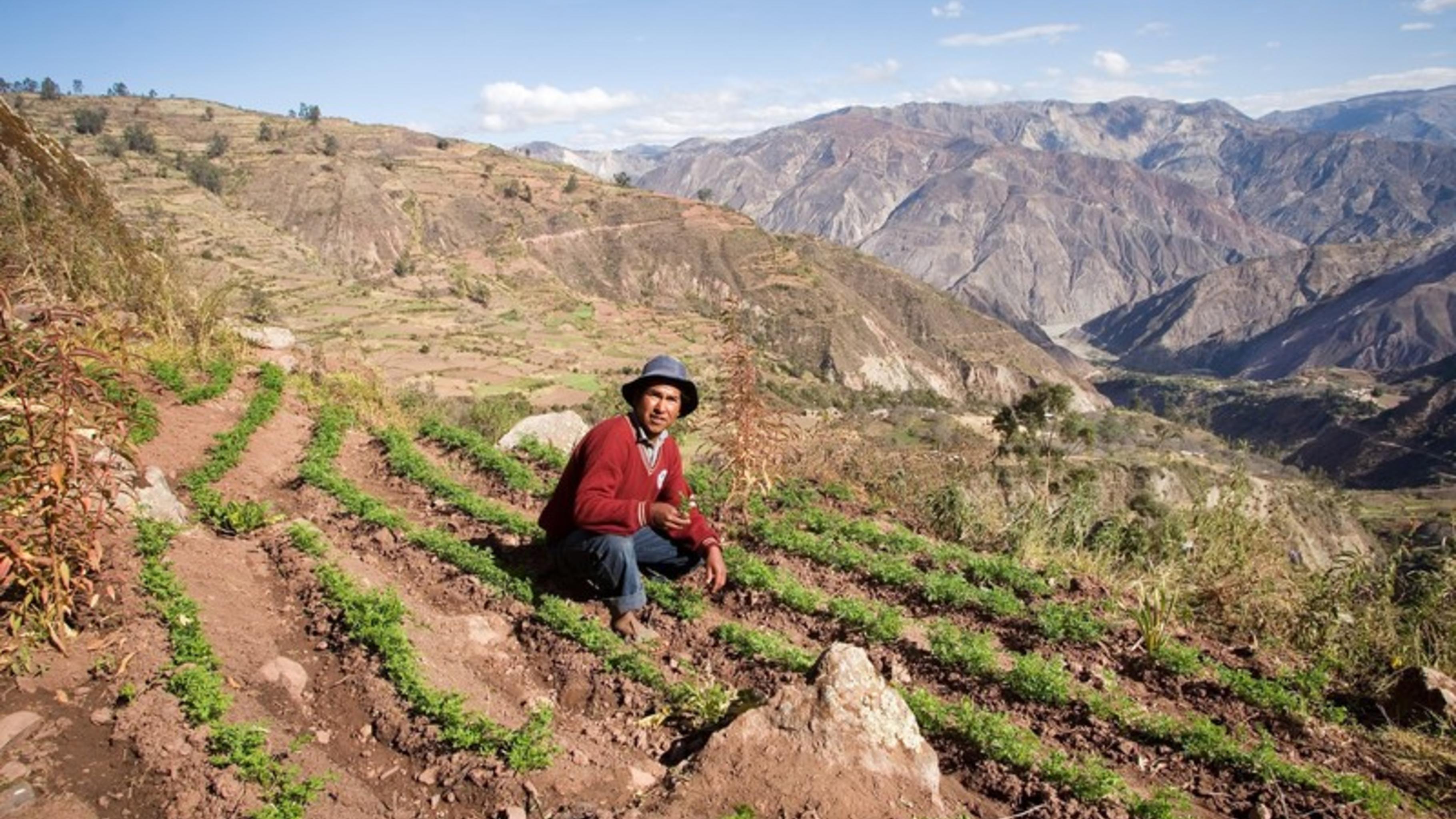 In Khapi brauchen die Bauern das Schmelzwasser des Illimani für ihre Felder.