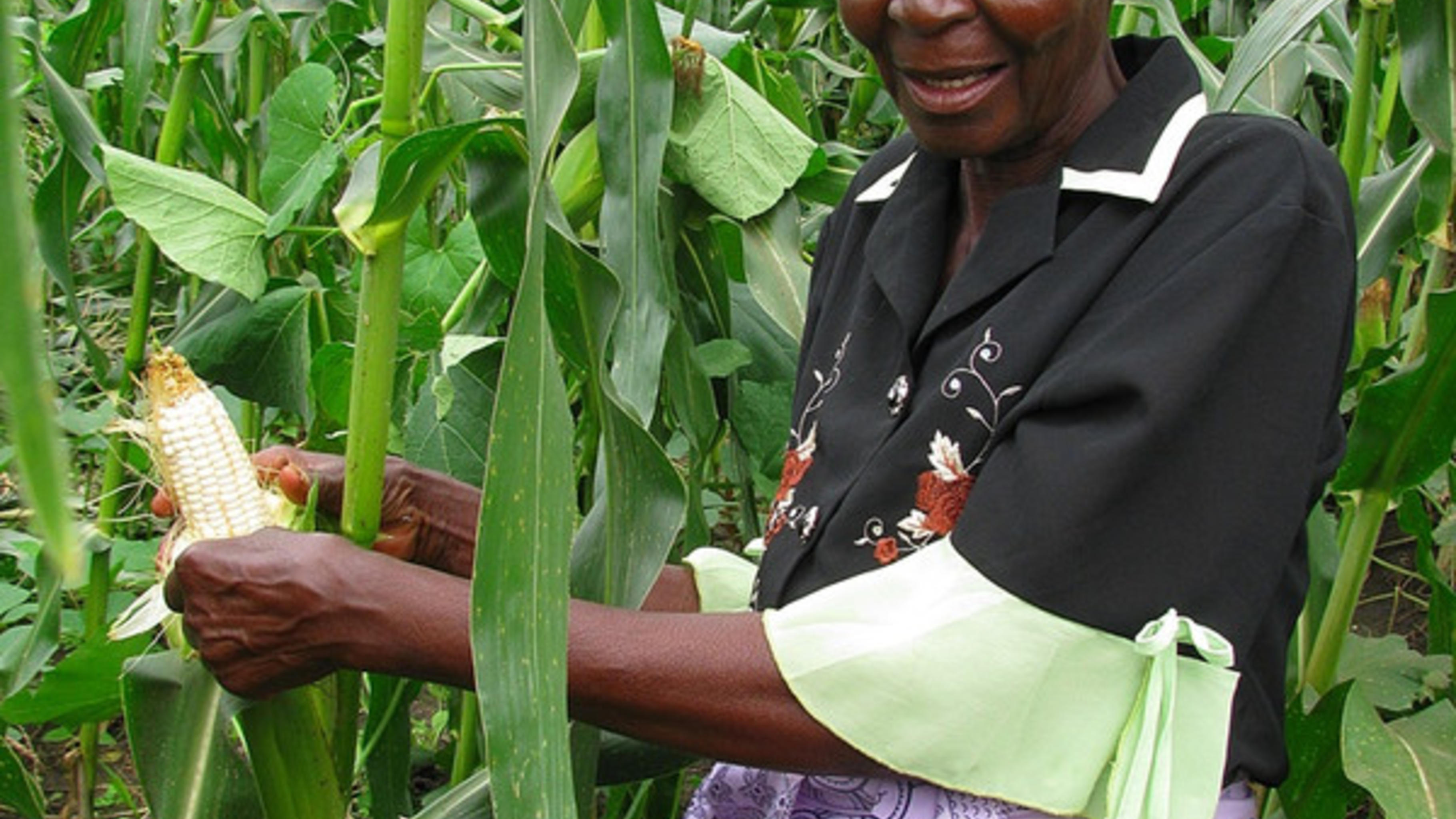 Rosemary Sikochi (60): „Früher musste ich zum Wasserholen bis zu 20 Kilometer laufen. Heute ist der Weg sehr viel kürzer, und wir können mehr Gemüse und Mais anbauen. Nun können wir sogar einen Teil der Ernte auf dem Markt verkaufen und haben dadurch etwas Geld zur Verfügung.“ 