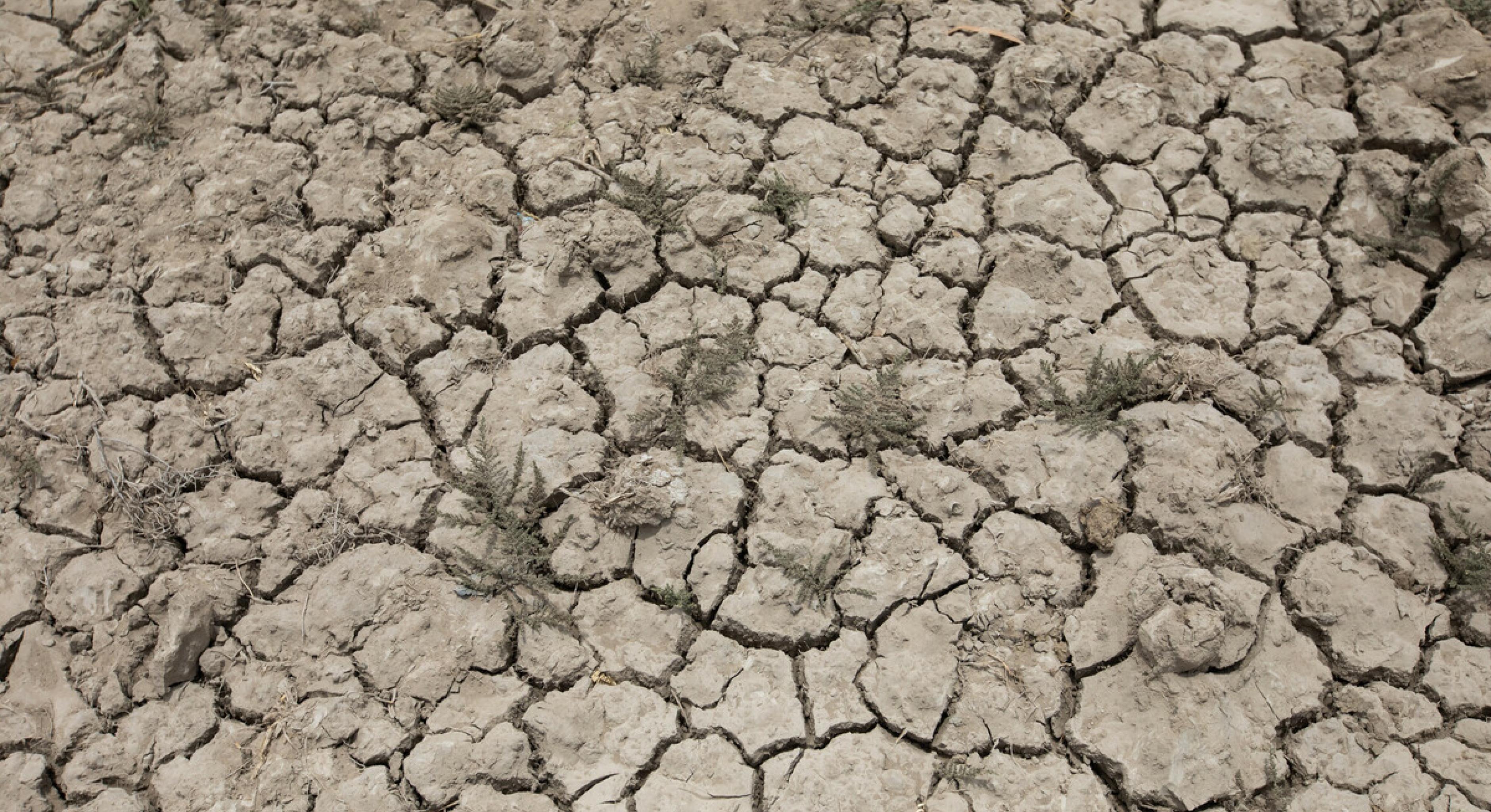 Ausgedörrter Boden im Bezirk Badin in Pakistan im Juli 2019.