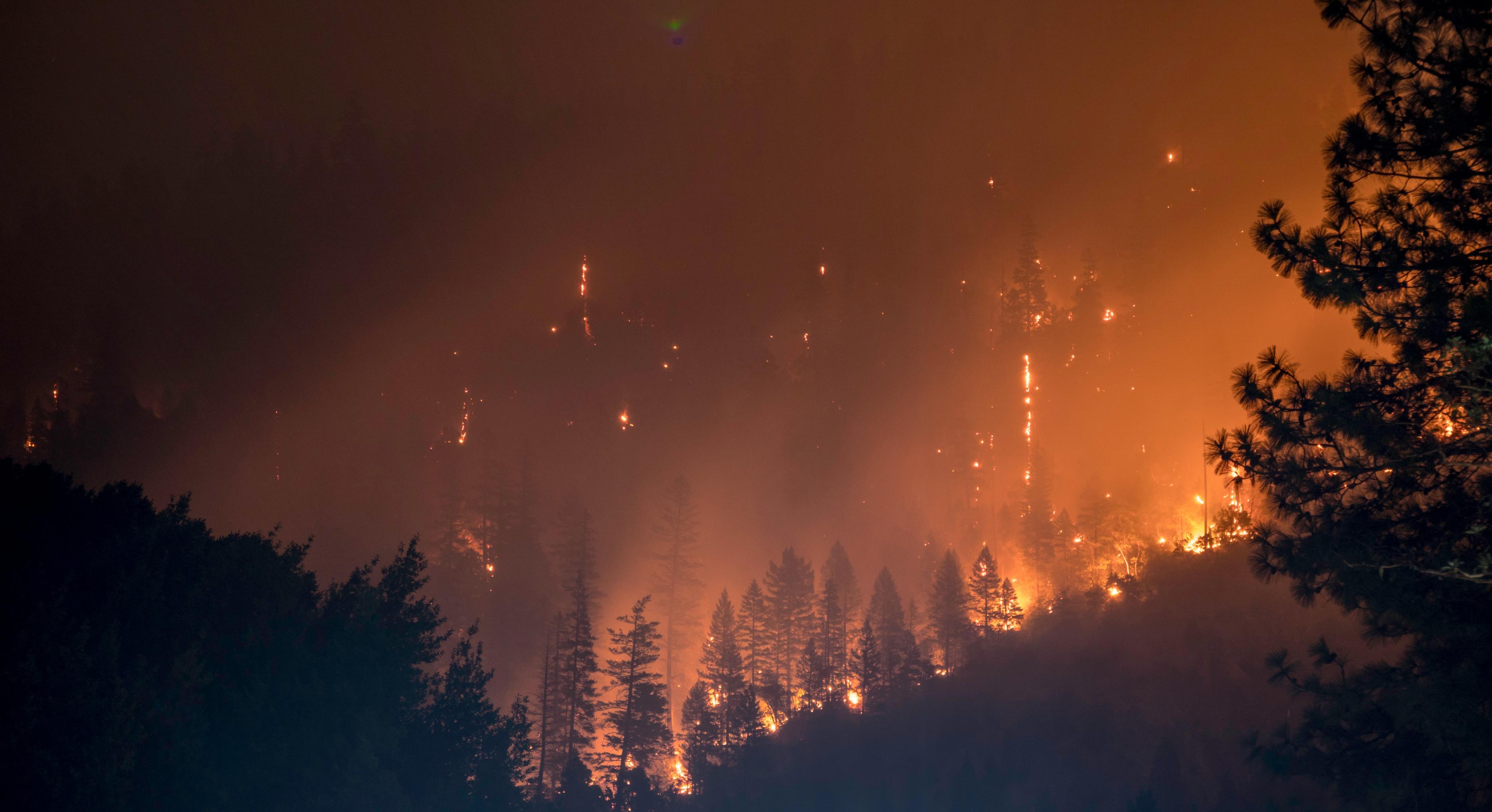 Brennende Bäume, Rauch und Funken bei einem Waldbrand im Klamath National Forest, USA.