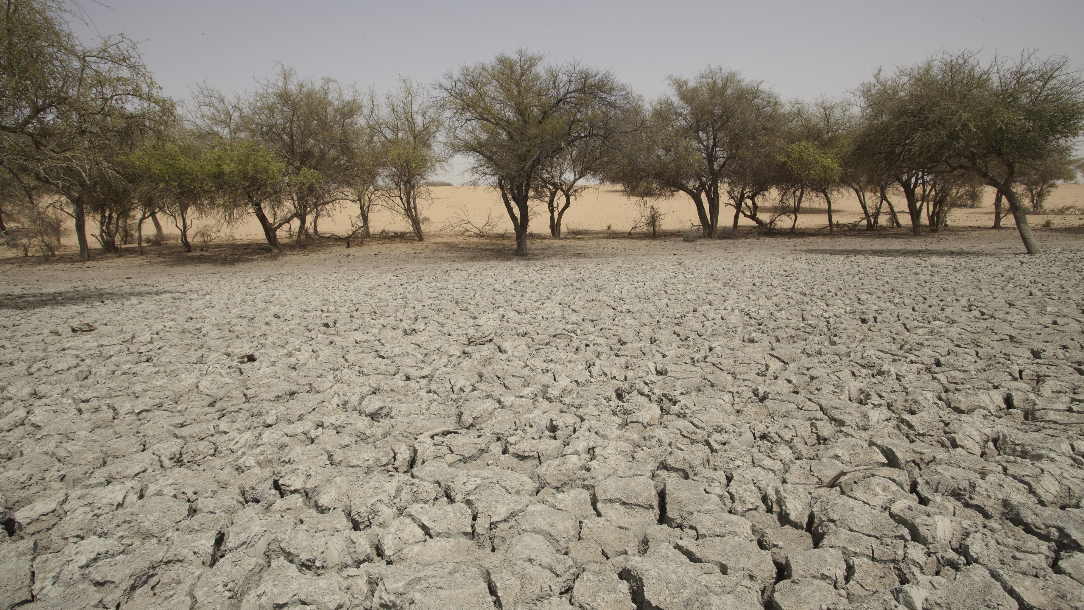 Hungerkrise im Tschad