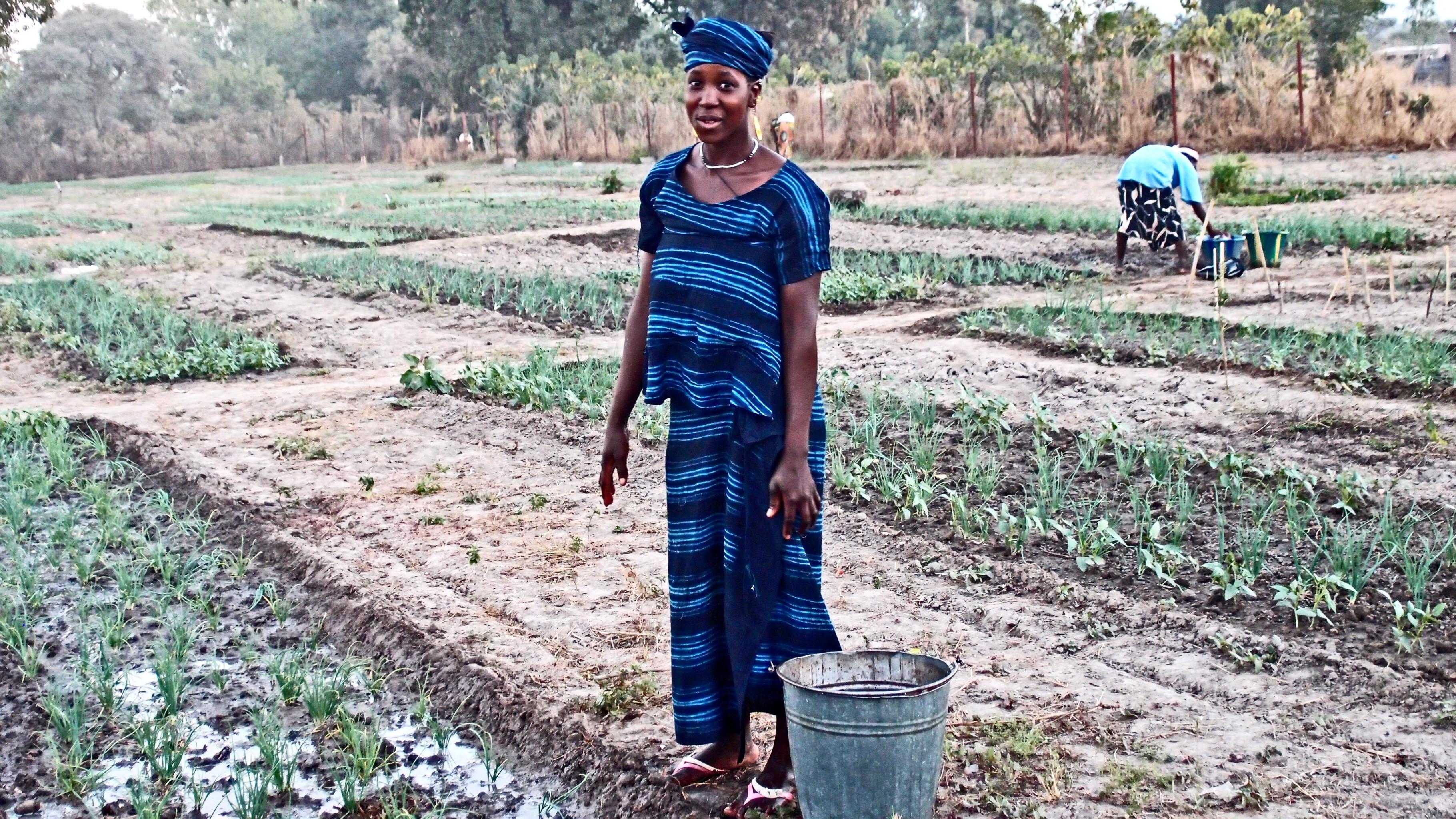 Frau in einem Gemüsegarten in Kita, Mali