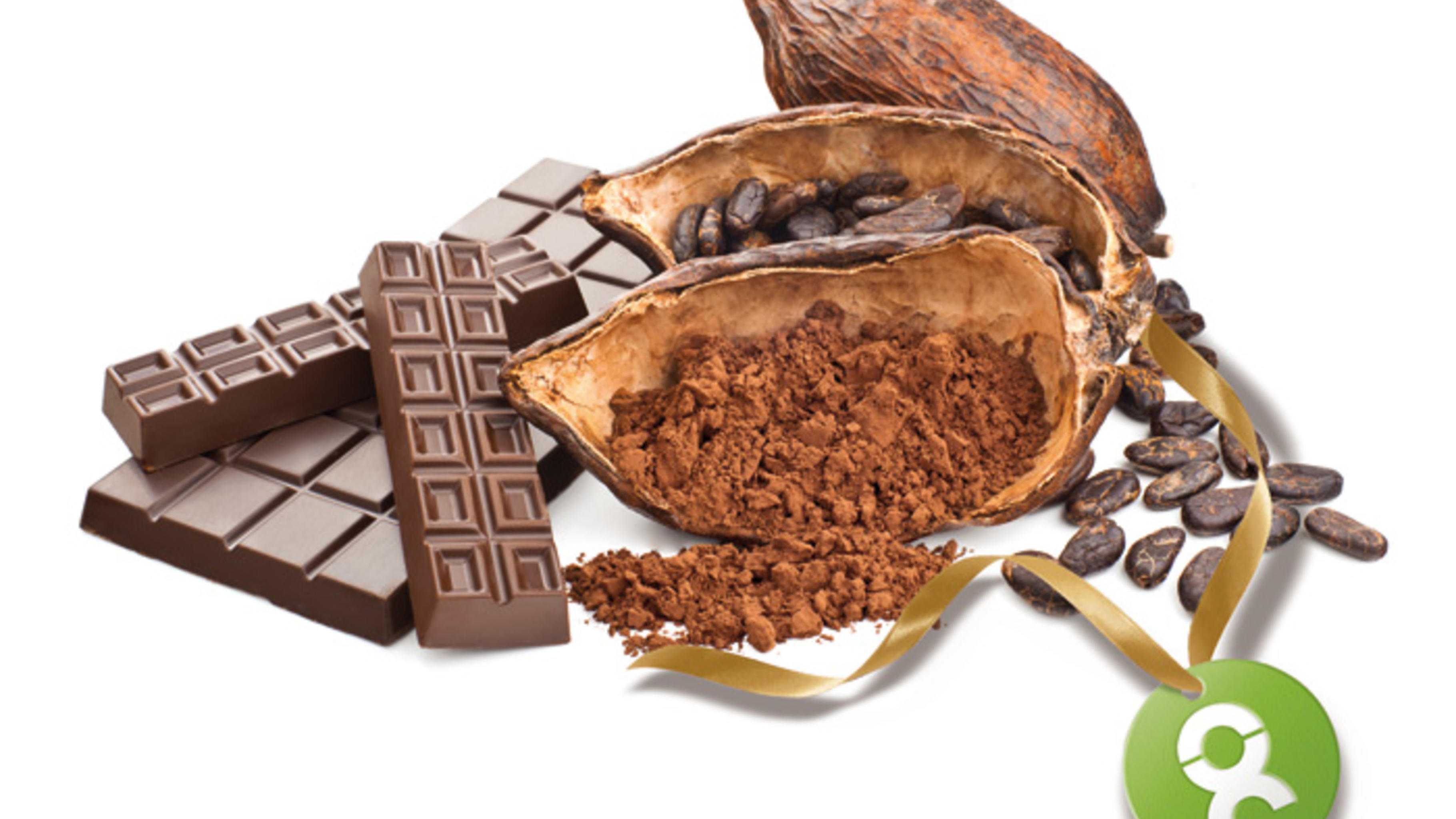 Training für Kakaobauern