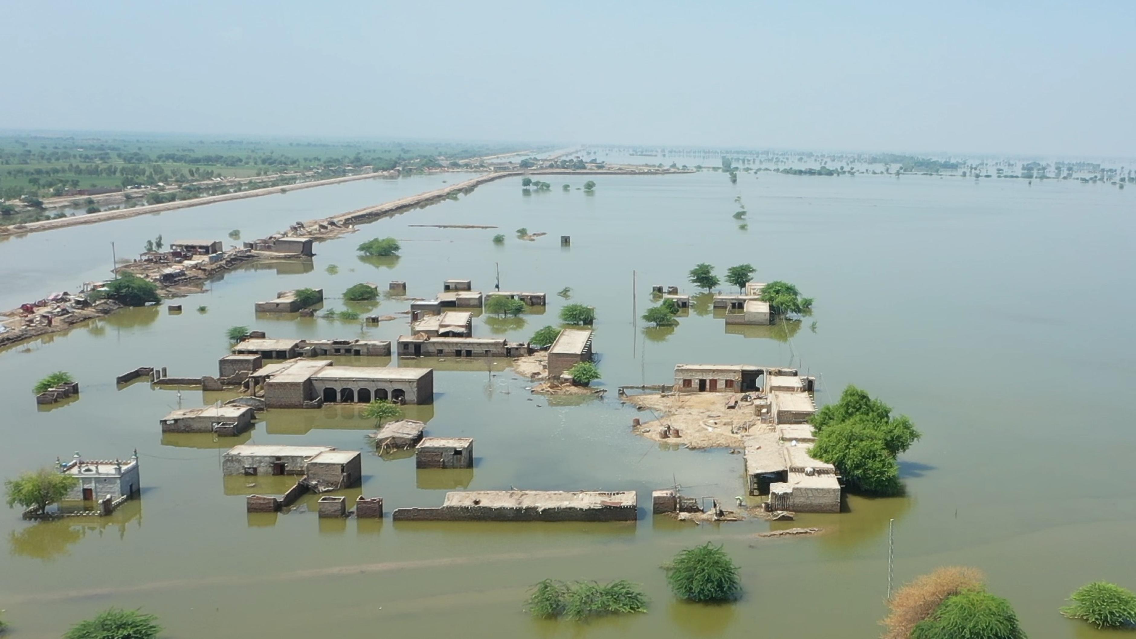 Fast einen Monat, nachdem Pakistan wegen der Überschwemmungen den Notstand ausgerufen hat, stehen Gemeinden und landwirtschaftliche Flächen immer noch unter Wasser. 