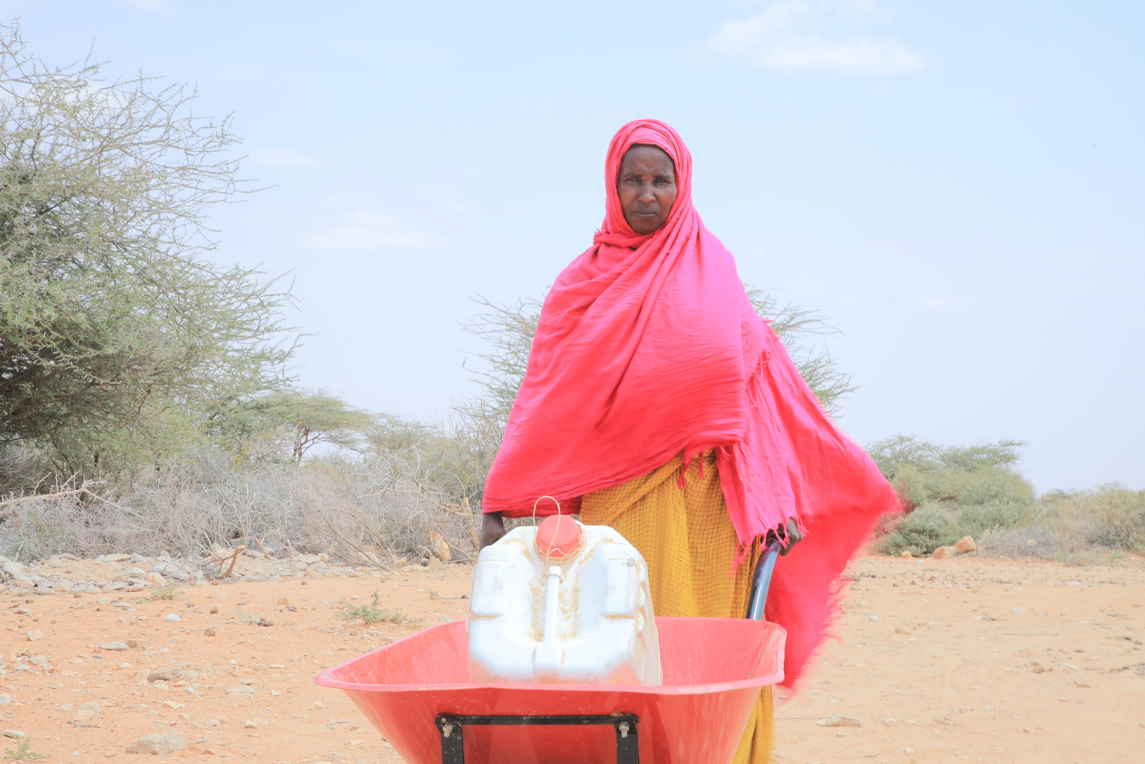 Anisa Jama Hassan hält eine große rote Schubkarre in den Händen, die mit einem Wasserkanister beladen ist. Sie trägt ein pinkes Obergewand und ein gelbes Untergewand. Im Hintergrund ist eine wüstenähnliche Landschaft zu sehen. 