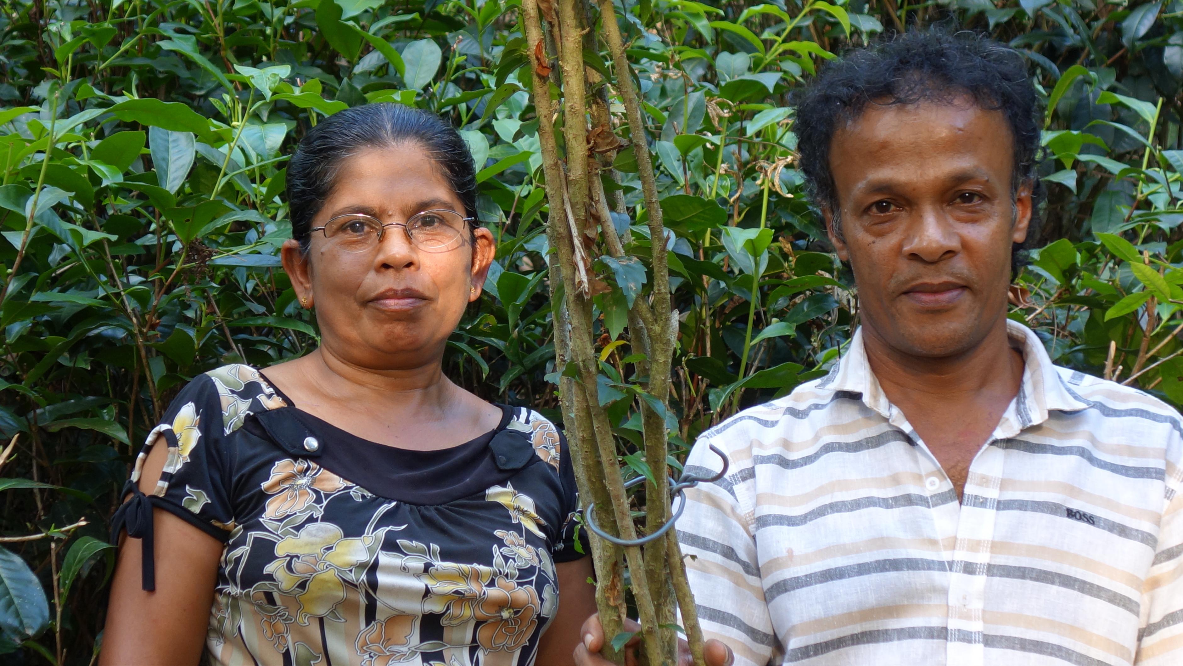 Das Ehepaar Dayananda gehört zu den 750 Kleinbauernfamilien, die auf biologische Anbaumethoden umstellen.