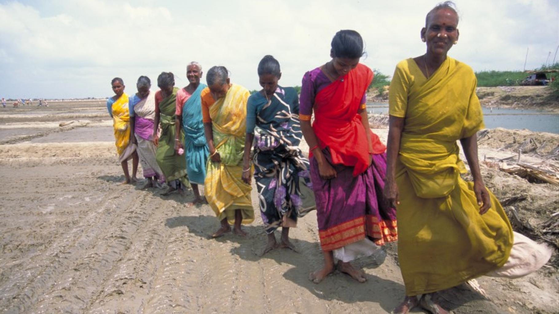 Foto: Arbeitende Frauen auf einer Salzplantage in Indien