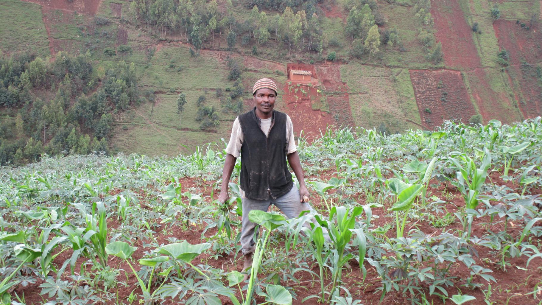 Ein Bauer steht in einem Feld an einem steilen Hang