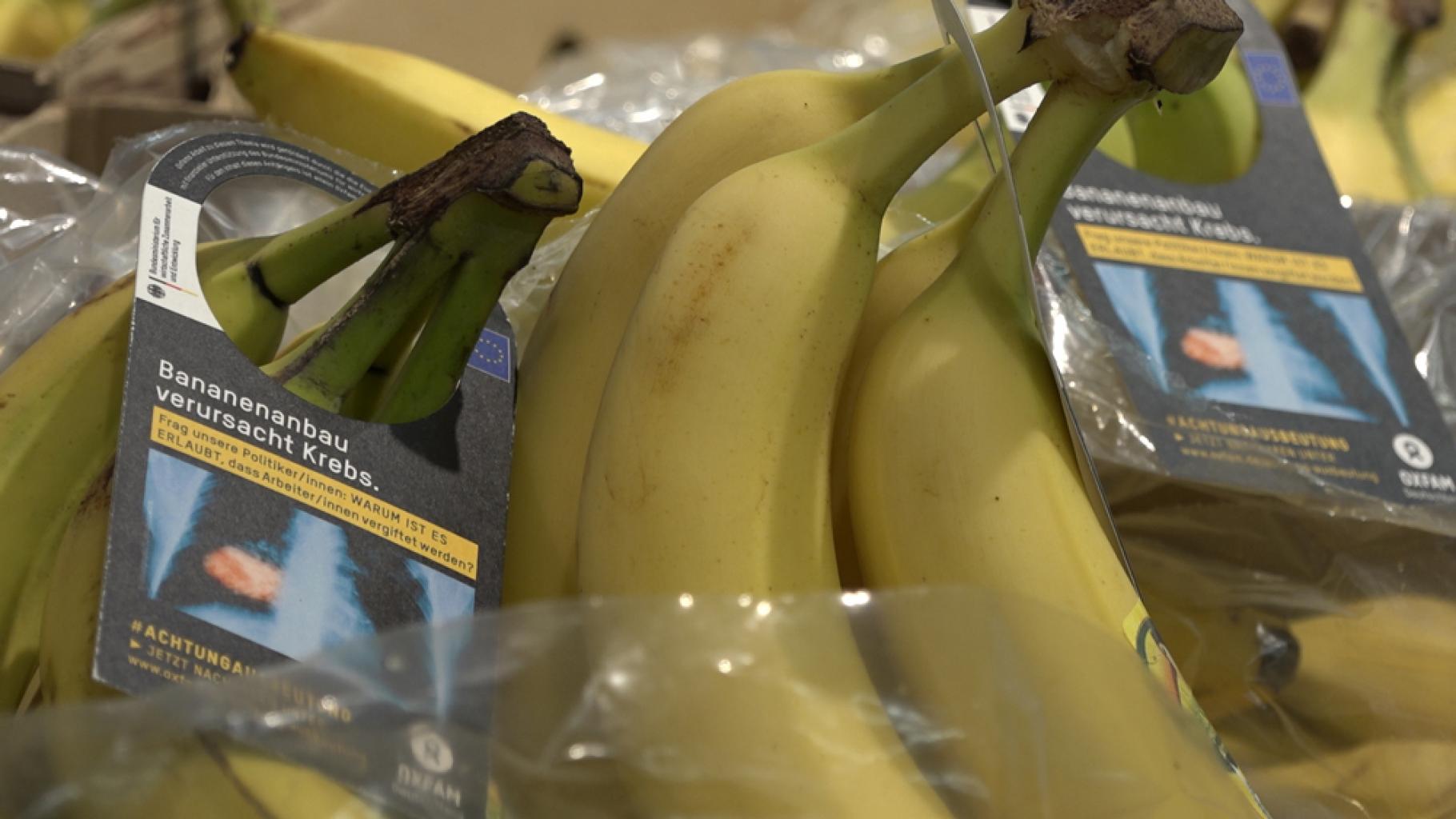 Bananen mit Schockbild-Anhängern im Stil der Warnhinweise auf Zigarettenpackungen: „Bananenanbau verursacht Krebs.“