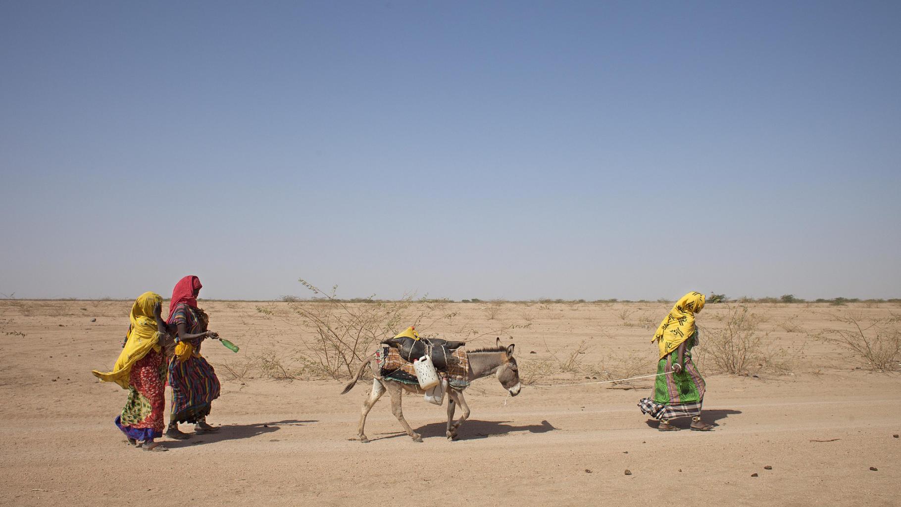 Drei Frauen gehen mit einem Esel durch eine sehr trockene Landschaft