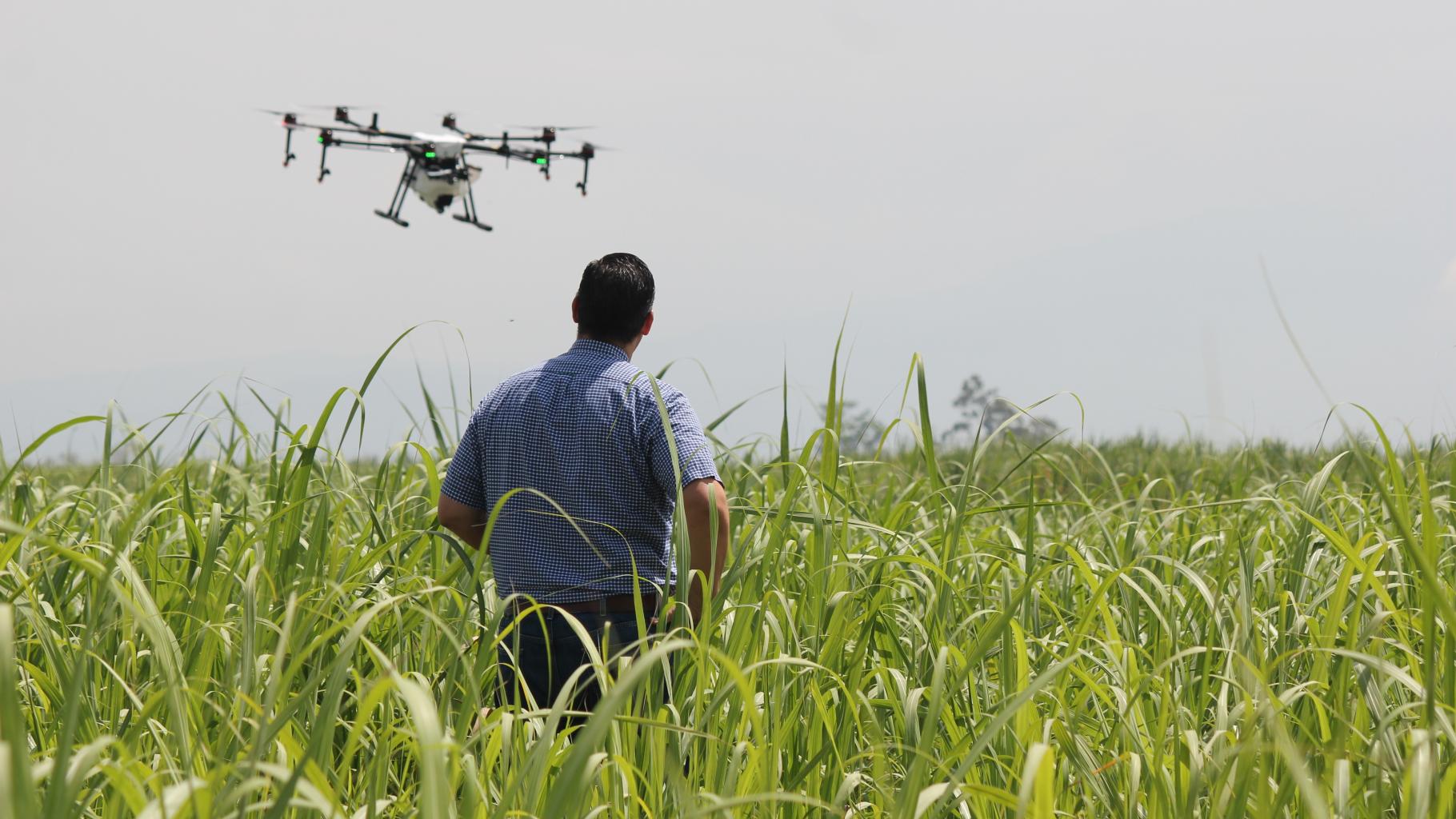 Ein Mann beobachtet eine Drohne, die über einem Feld fliegt.