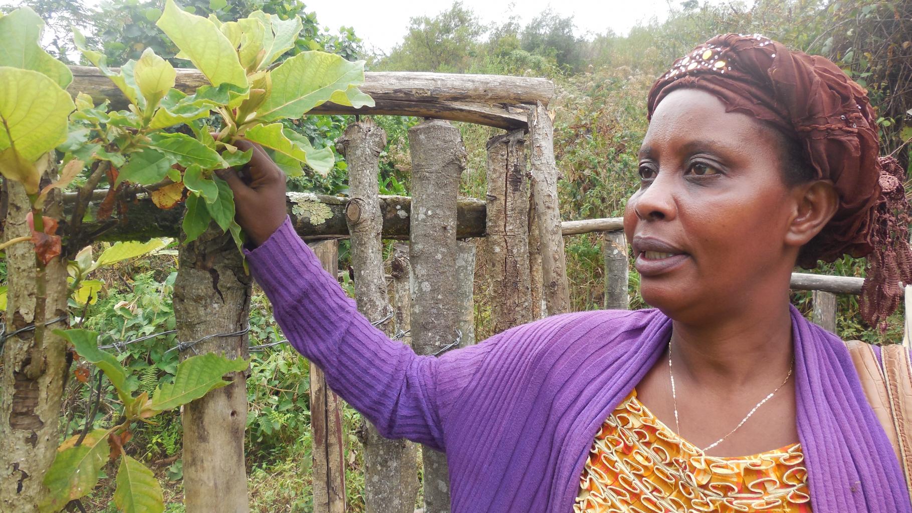 Gudile Nasine von Oxfams kongolesischer Partnerorganisation zeigt, wie Bäume als natürliche Einzäunungen für Felder und Quelleinfassungen genutzt werden.