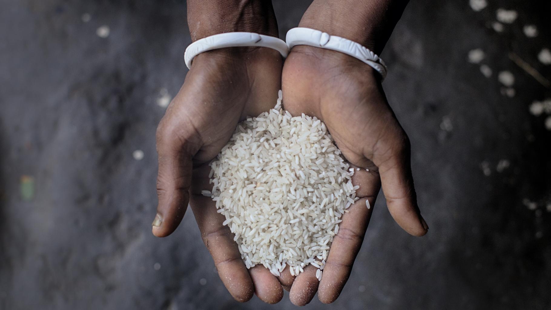 Zwei Hände halten eine kleine Menge Reiskörner