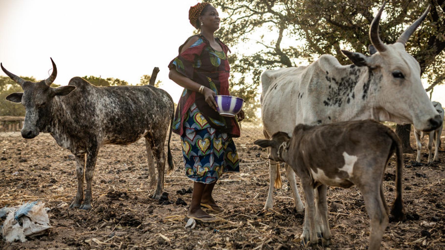 Milchviehhalterin in Burikan Faso