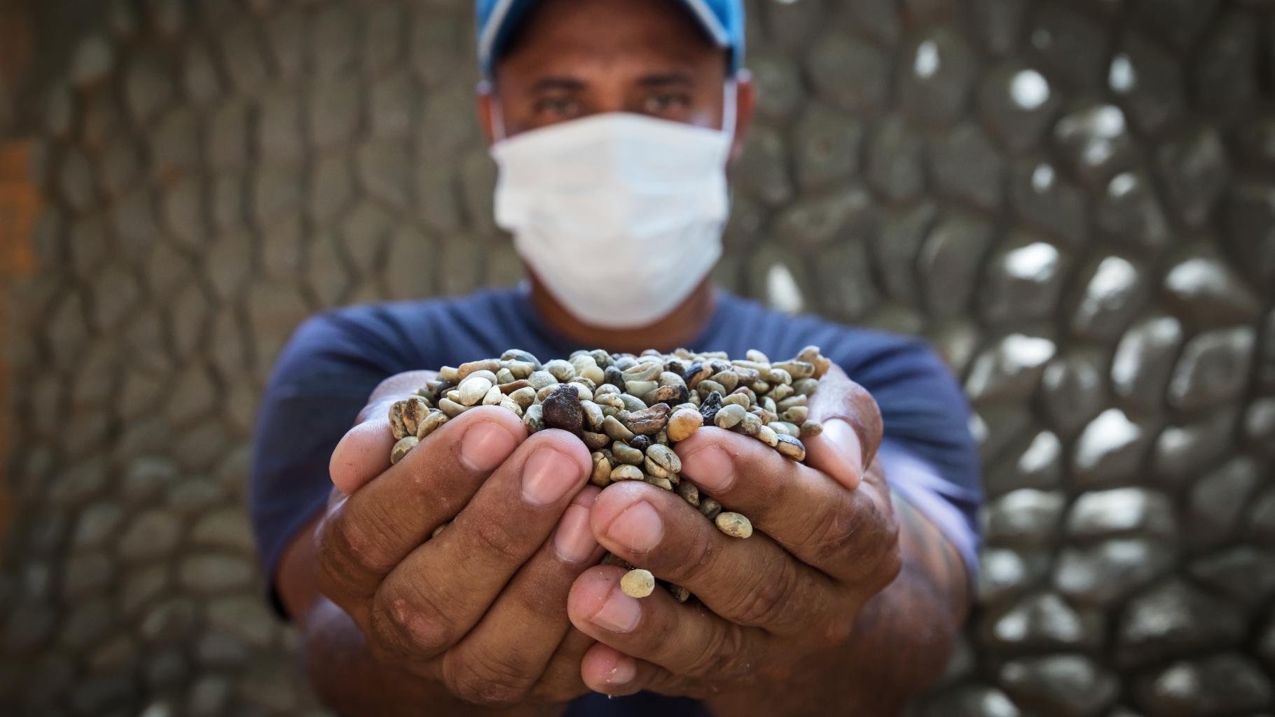Arbeiter auf Kaffeeplantage in Brasilien