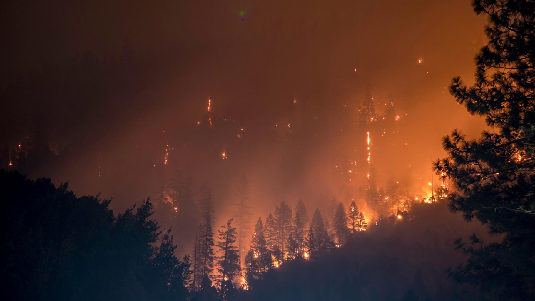 Brennende Bäume, Rauch und Funken bei einem Waldbrand im Klamath National Forest, USA.