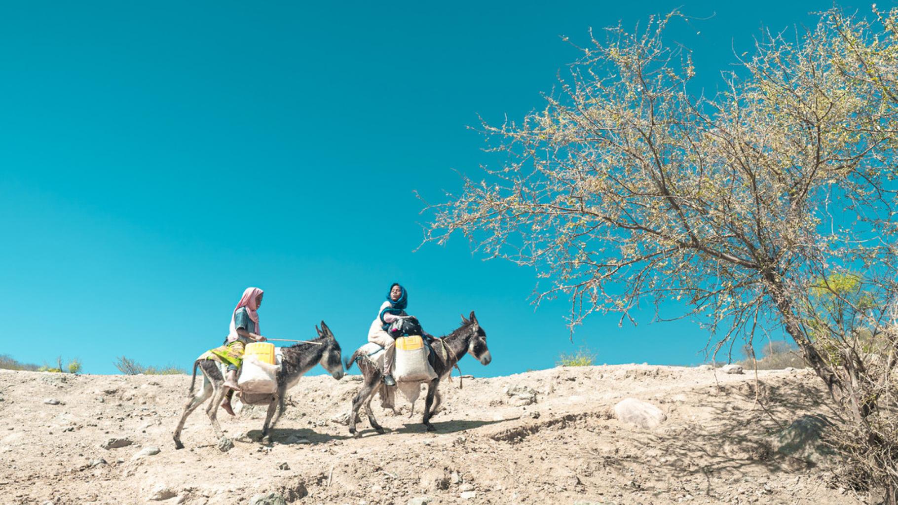 Wasserholen auf Eseln im Jemen 2020