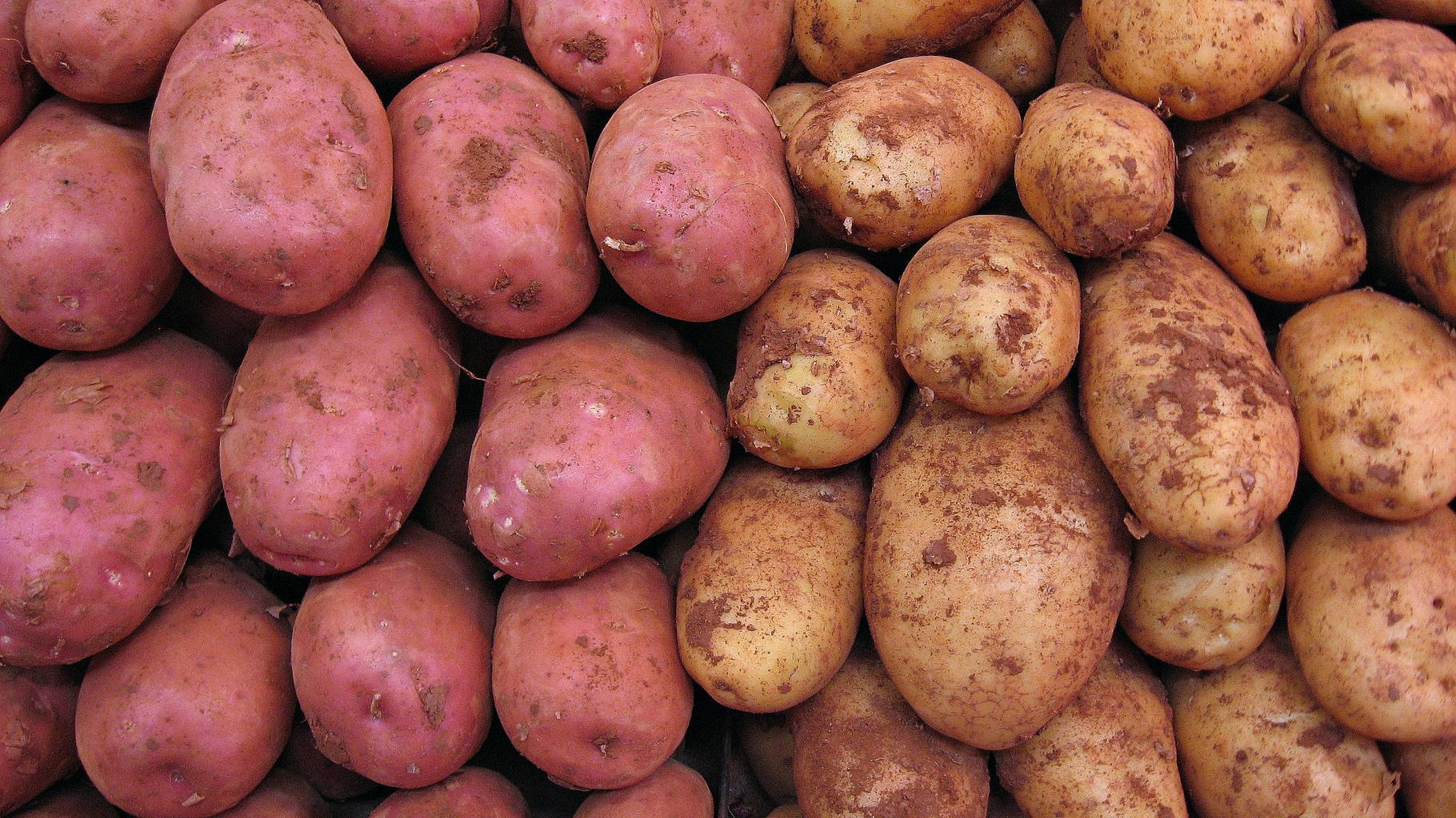 Zwei Sorten Kartoffeln