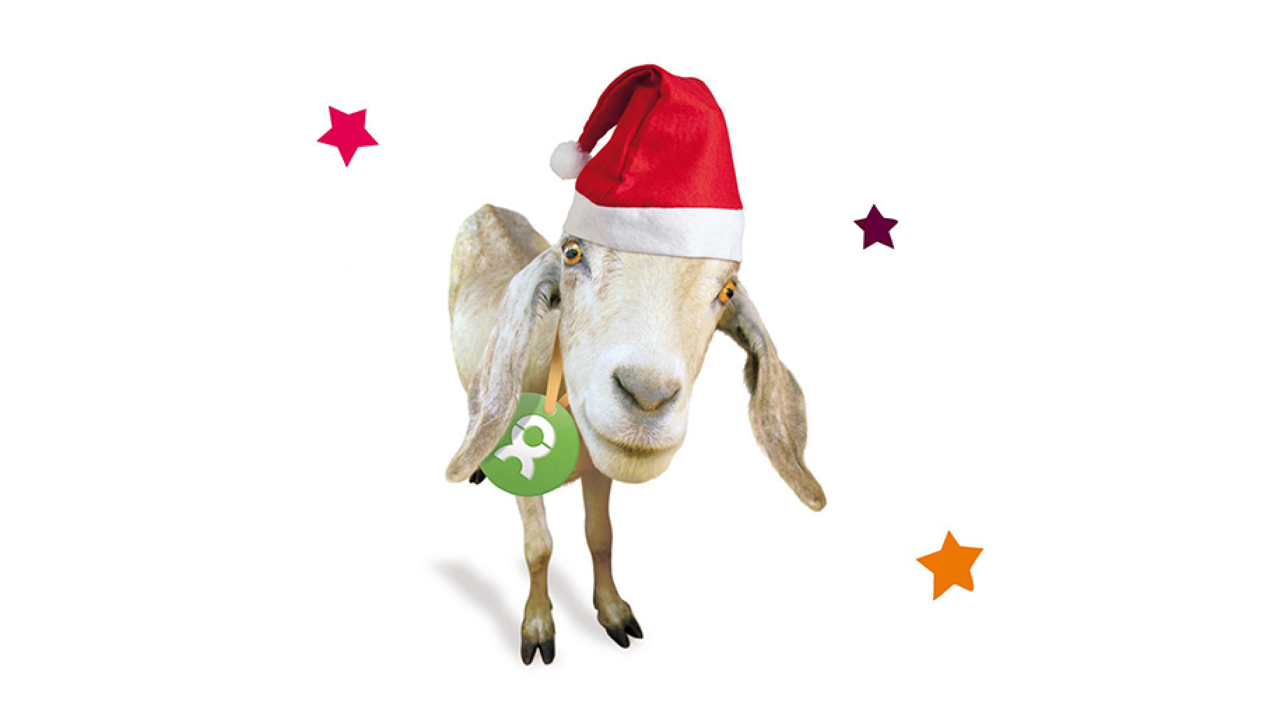 OxfamUnverpackt Weihnachtsgeschenk Ziege