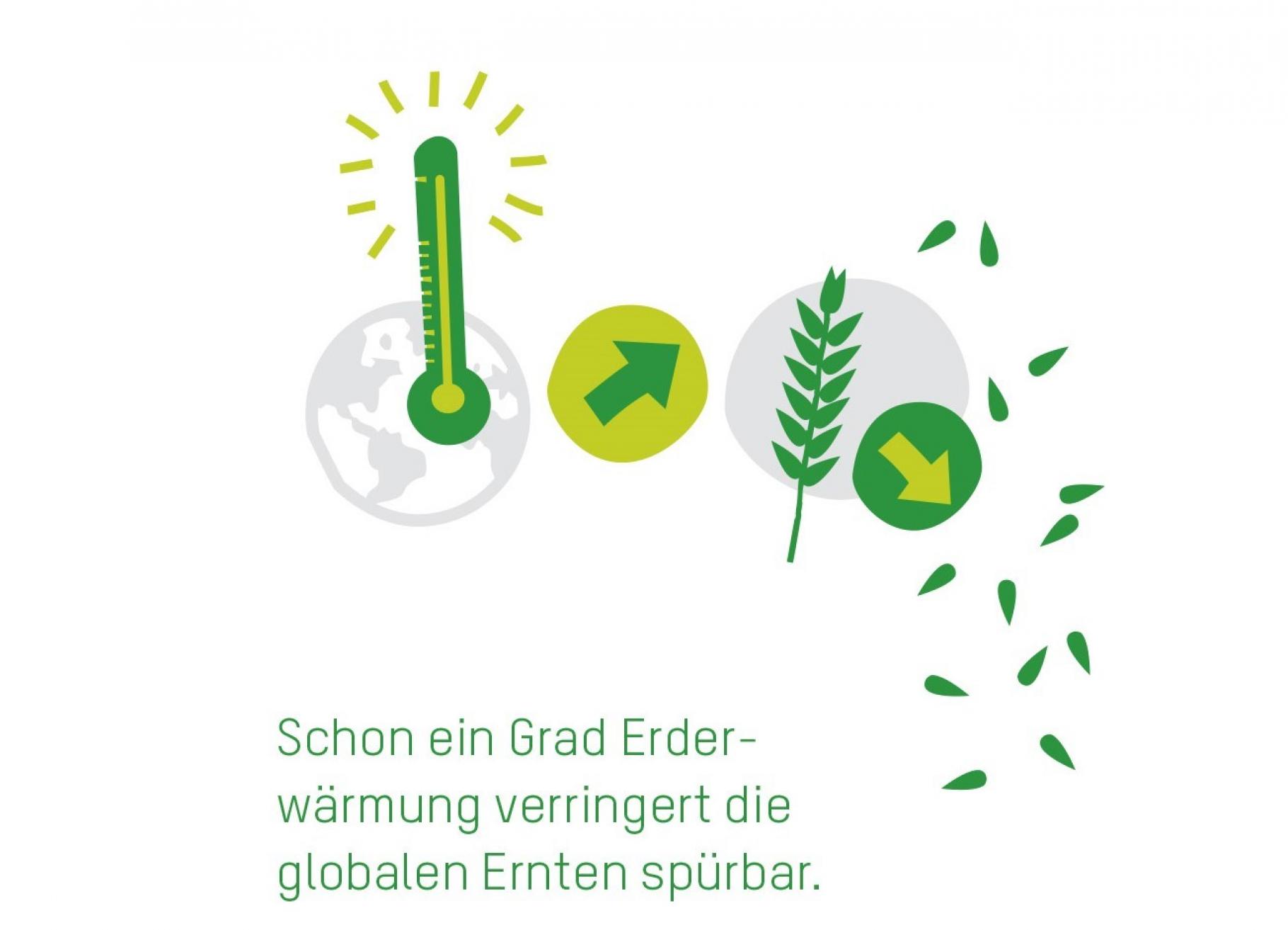 Grafik mit grünen Icons (Thermometer, Pfeile, Getreide) vor grauer Erdkugel