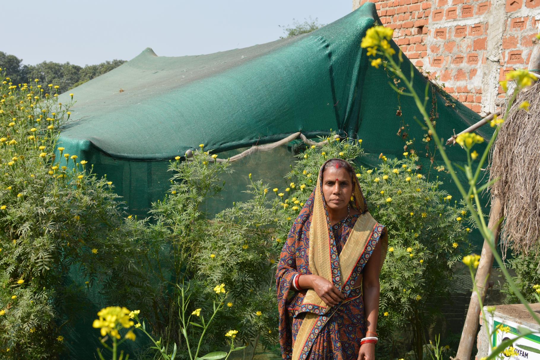 Sunita Devi steht vor ihrem Anbaufeld, das durch ein grünes Stoffzelt abgedeckt ist.