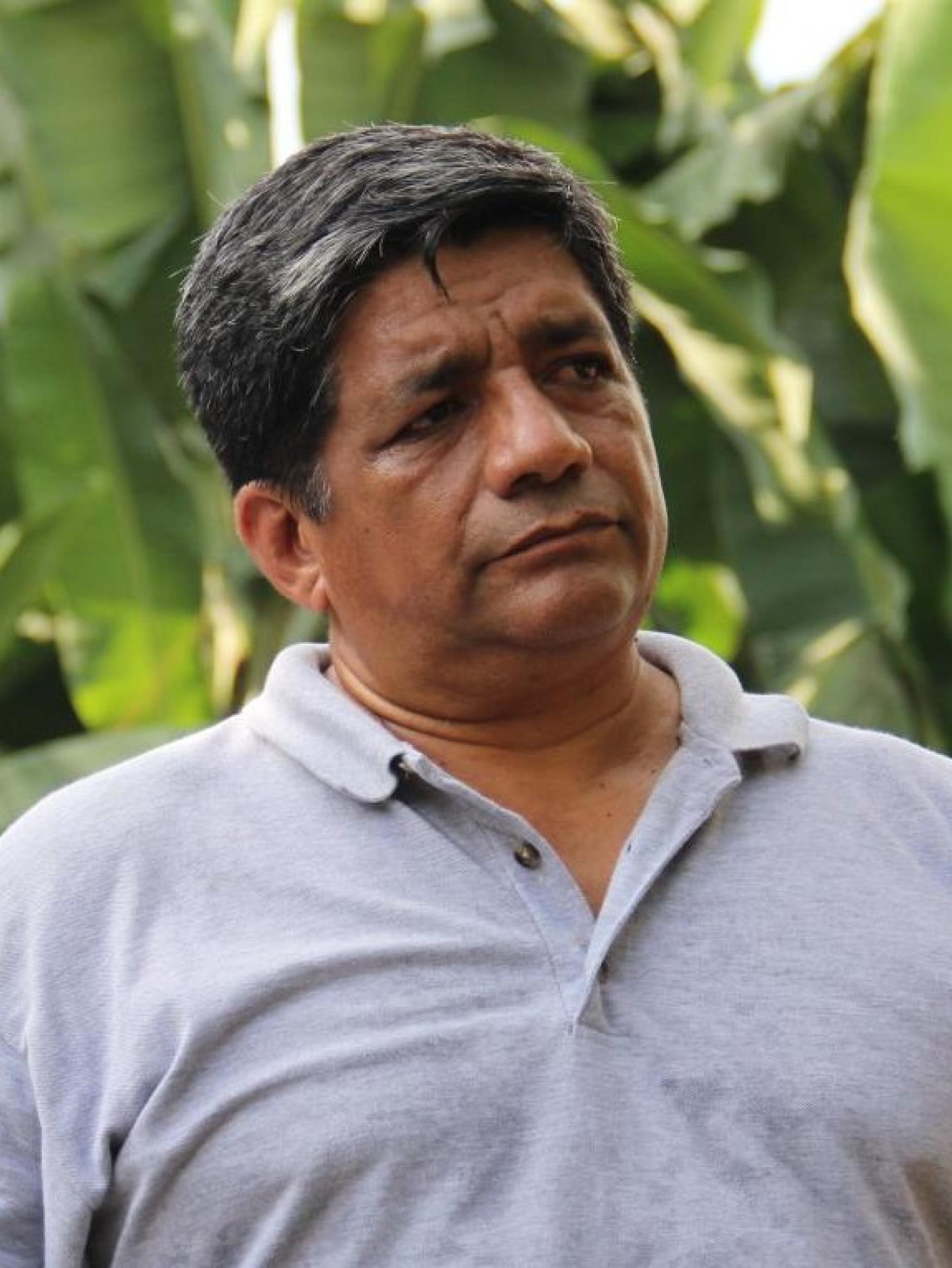 Jorge Acosta steht vor Bananenpflanzen auf einer Plantage