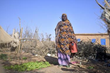 Eine Frau steht selbstbewusst mit Hacke und Gießkanne vor ihrem Gemüsegarten in Niger.