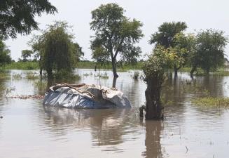 Hochwasser in einer Landschaft mit Bäumen. In der Mitte ist eine Plane sichtbar, die etwas in der Größe eines Autos zum Schutz abdeckt. Sie wird von großen Ästen beschwert.