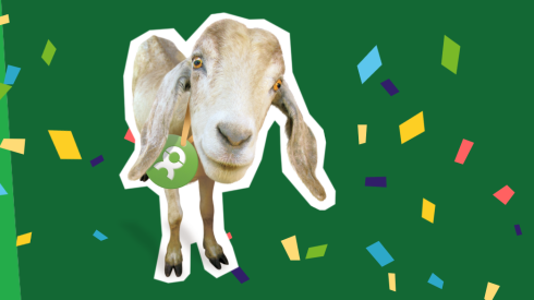 Spendengeschenke von OxfamUnverpackt Oxfam Unverpackt Ziege mit Konfetti